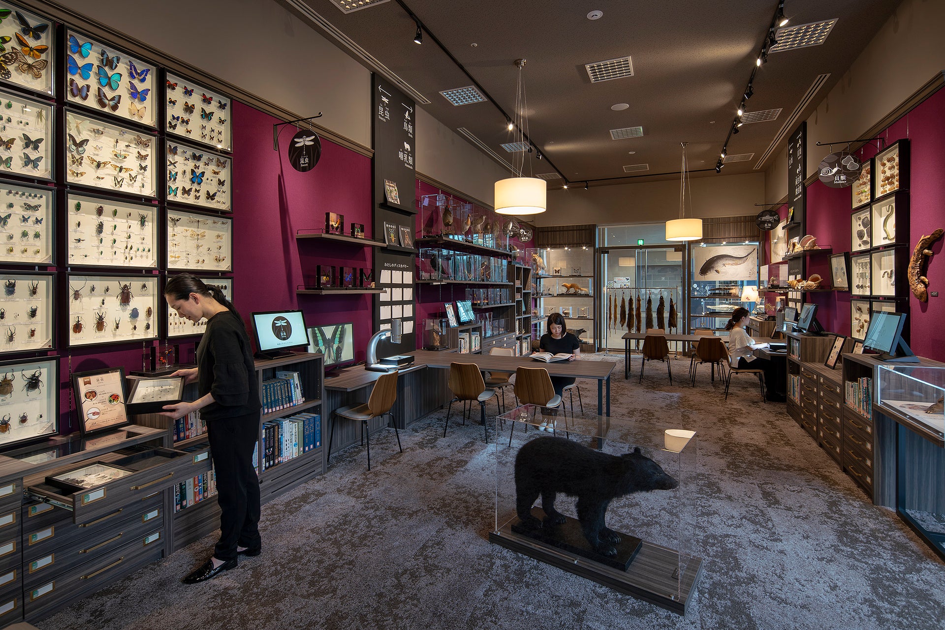 滋賀県立琵琶湖博物館